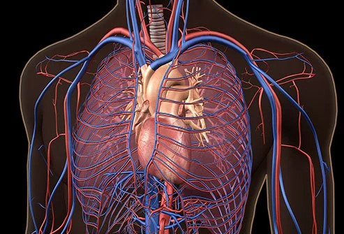 Hipertensi Pulmoner